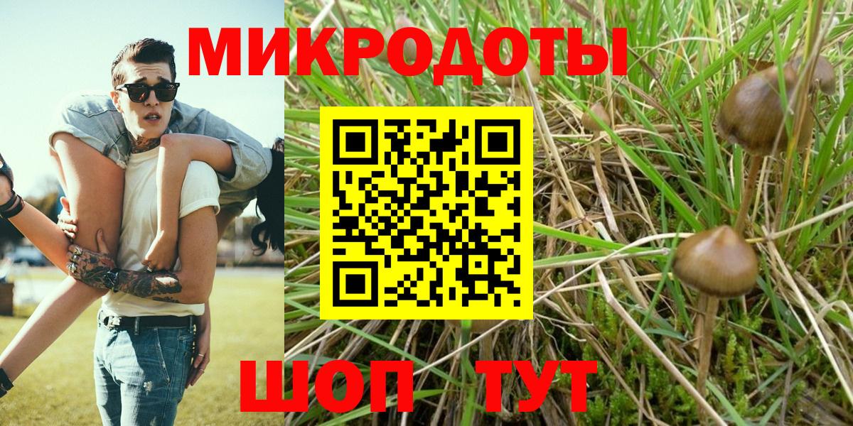 Псилоцибиновые грибы мицелий Губкинский