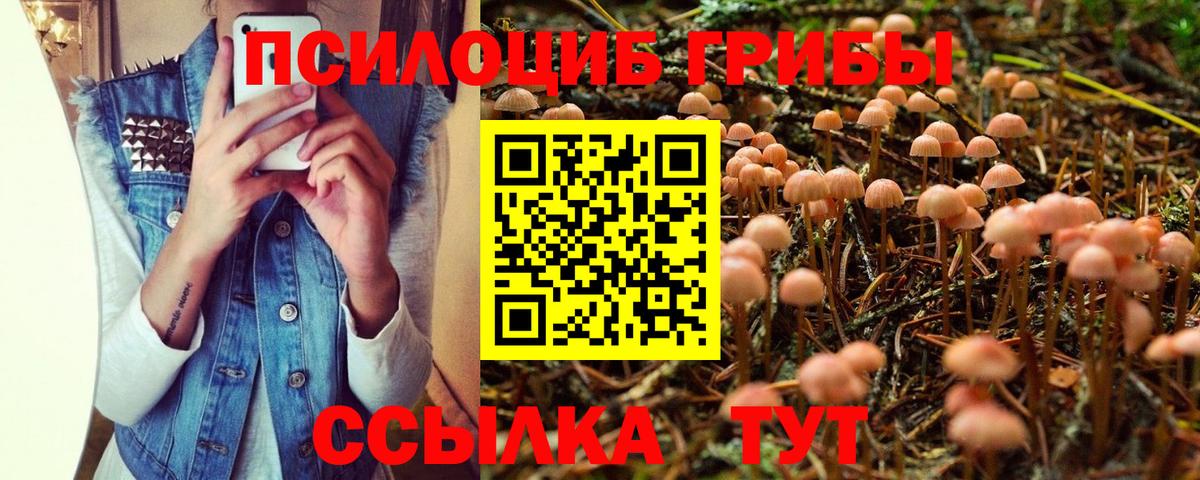Губкинский  Галлюциногенные грибы ЛСД  закладки  Вход с VPN 